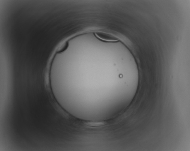 X0000101111296200807101501