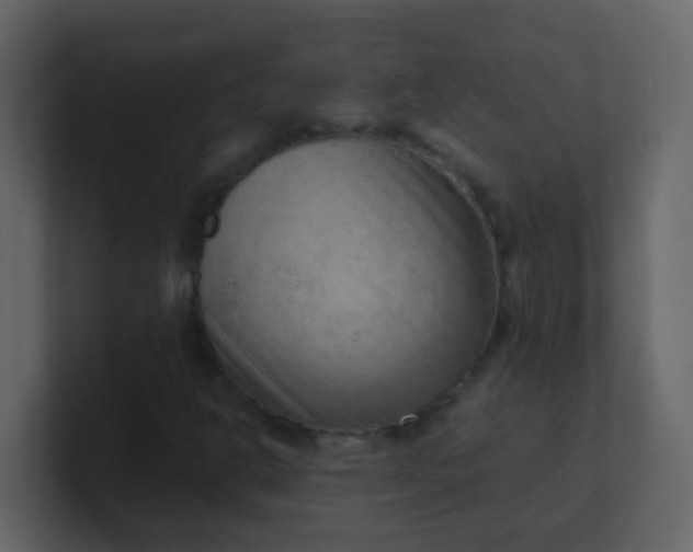 X0000101111302200807101500