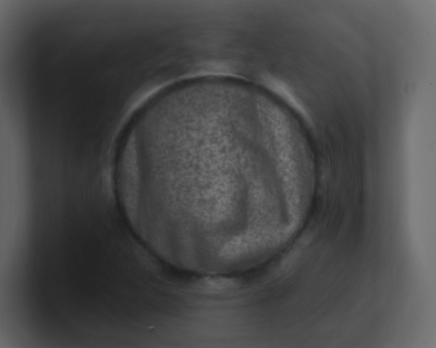 X0000101111312200807101500