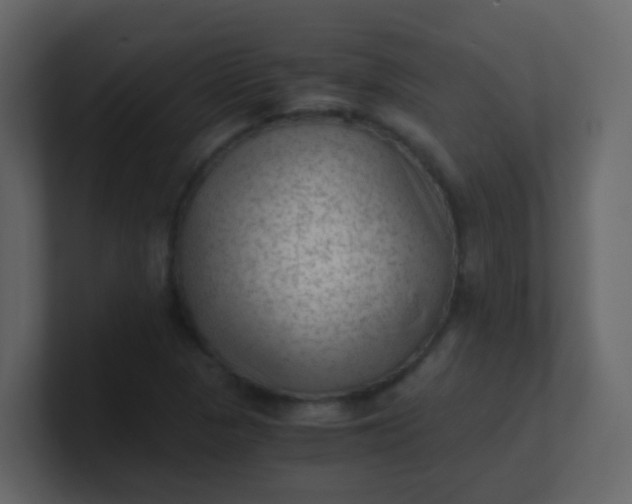 X0000101111313200807101500