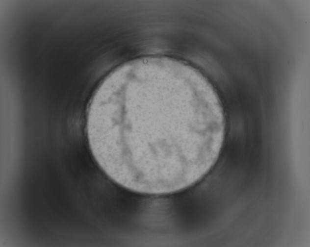 X0000101111314200807101500
