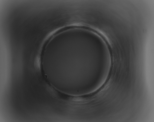 X0000101111319200807101500