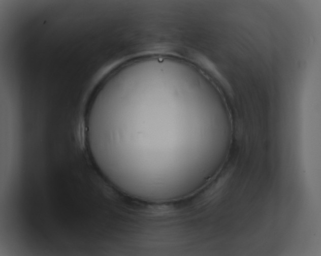X0000101111320200807101500