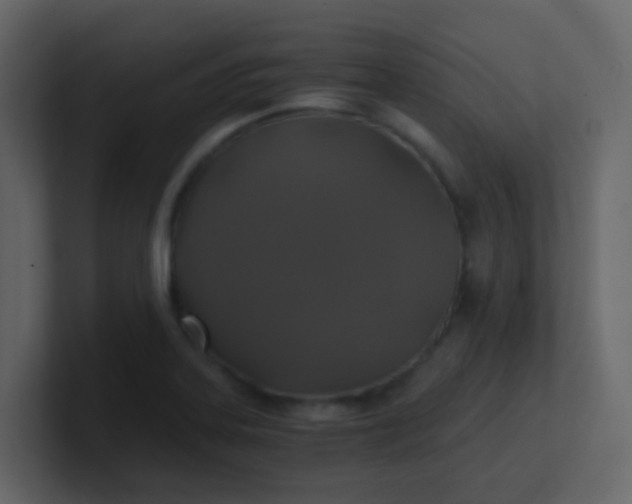 X0000101111323200807101500
