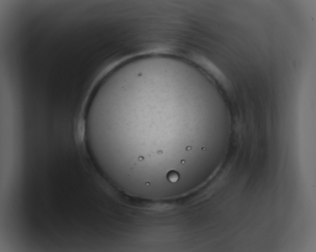 X0000101111324200807101500