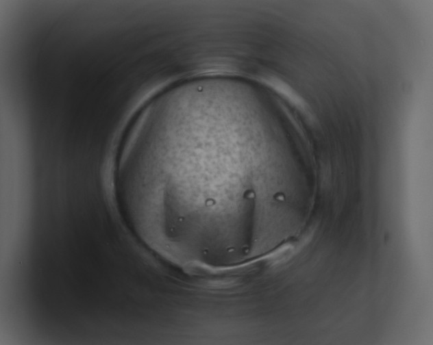 X0000101111325200807101500