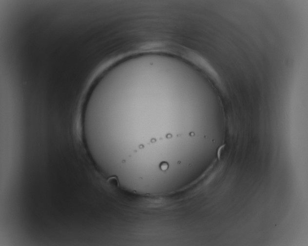 X0000101111328200807101500