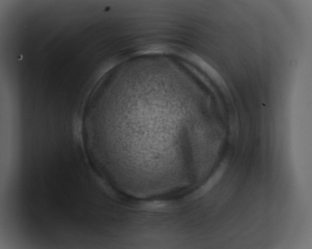 X0000101111329200807101500