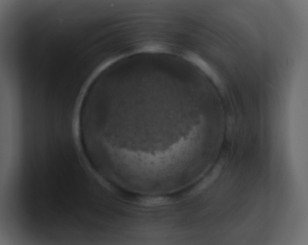 X0000101111331200807101500