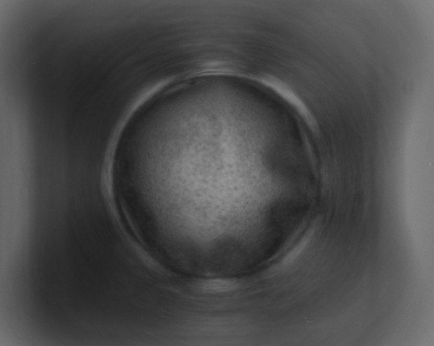 X0000101111333200807101500