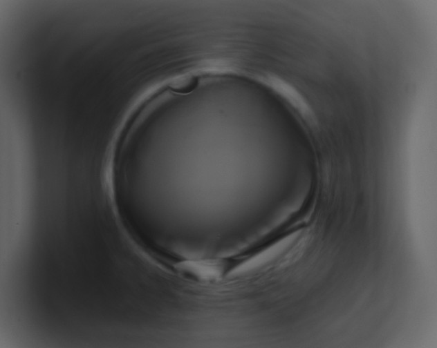 X0000101111334200807101501