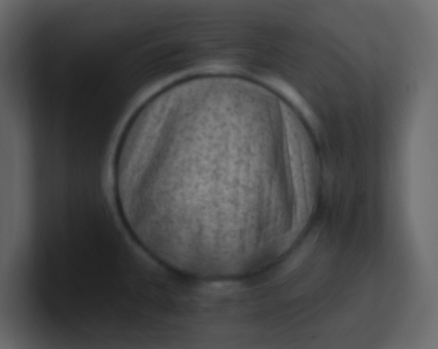 X0000101111335200807101501