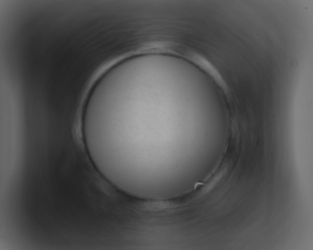X0000101111336200807101501