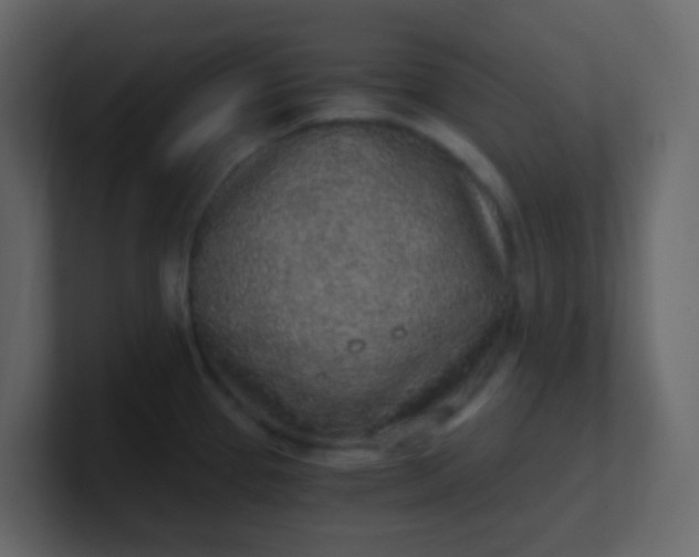 X0000101111337200807101501