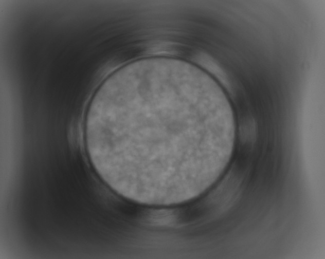 X0000101111338200807101501