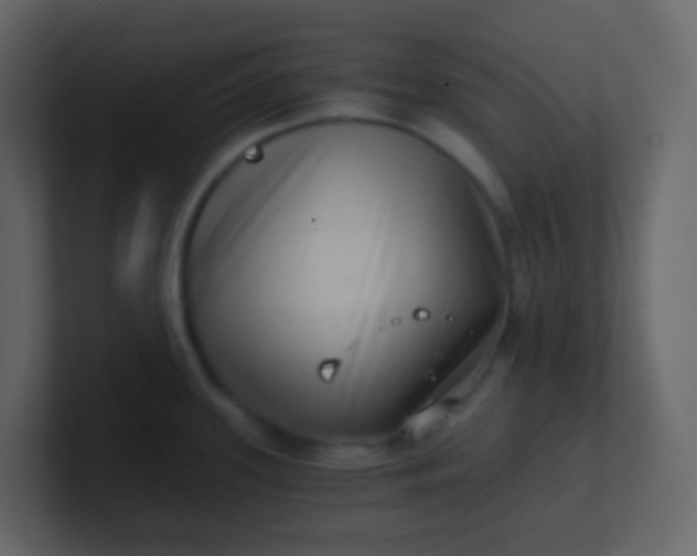 X0000101111339200807101501