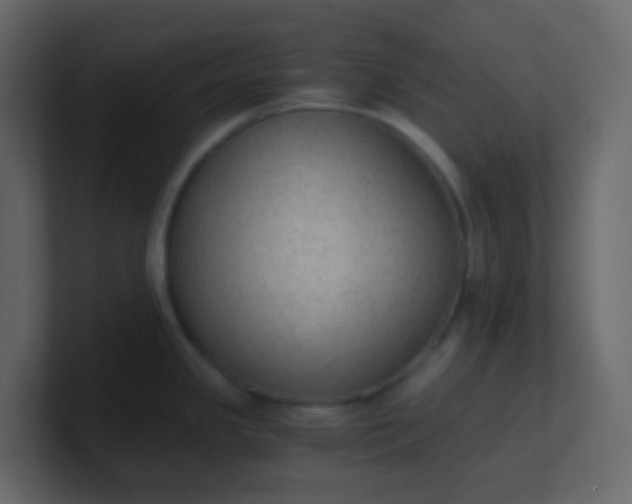 X0000101111341200807101501