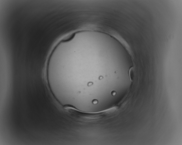 X0000101111344200807101501