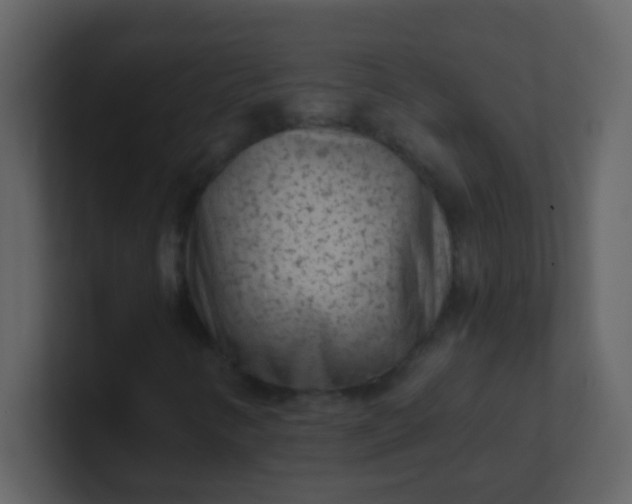 X0000101111346200807101500