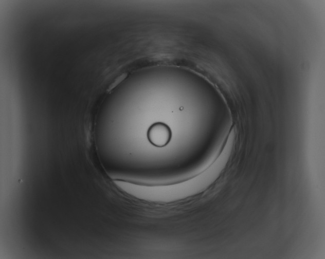 X0000101111348200807101500
