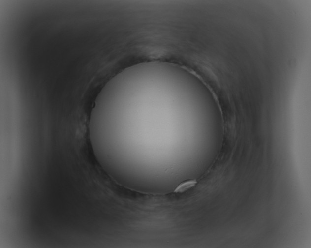 X0000101111349200807101500
