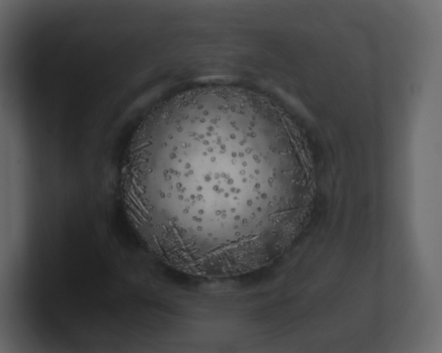 X0000101111351200807101500