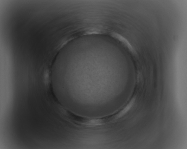 X0000101111353200807101500