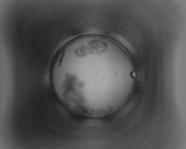 X0000101111356200807101500