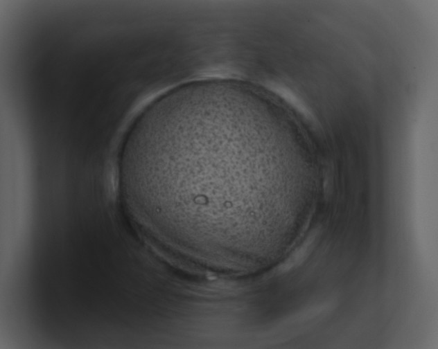 X0000101111358200807101500