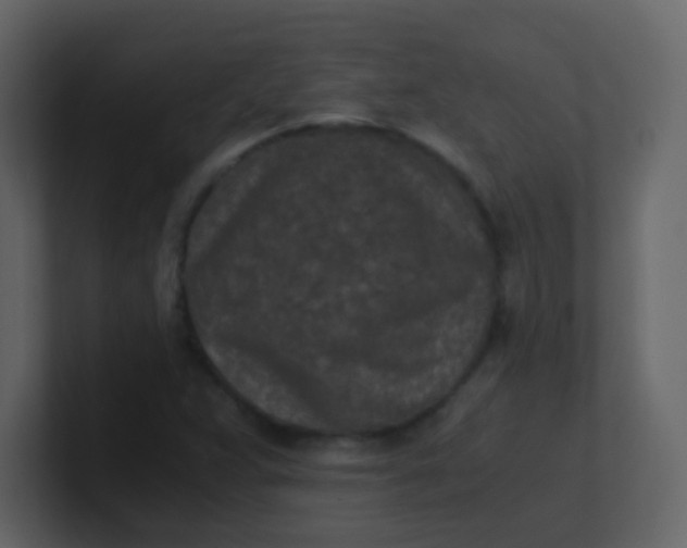 X0000101111359200807101500