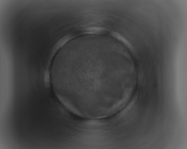 X0000101111362200807101500