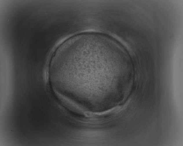 X0000101111367200807101500