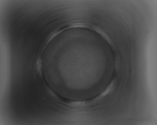 X0000101111369200807101500