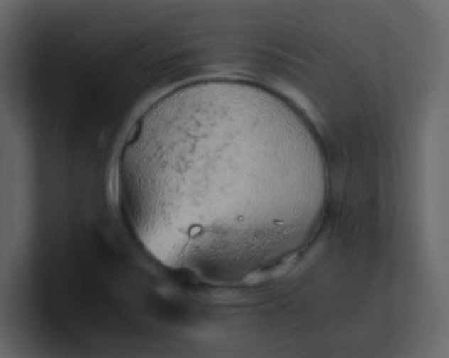 X0000101111371200807101500