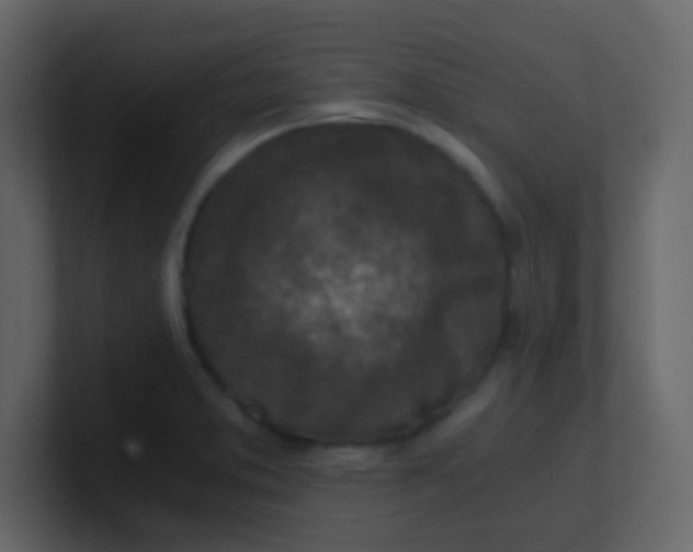 X0000101111373200807101500
