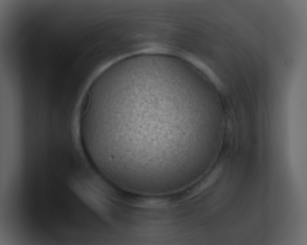 X0000101111375200807101500
