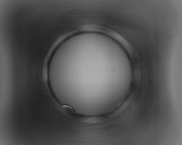 X0000101111376200807101500