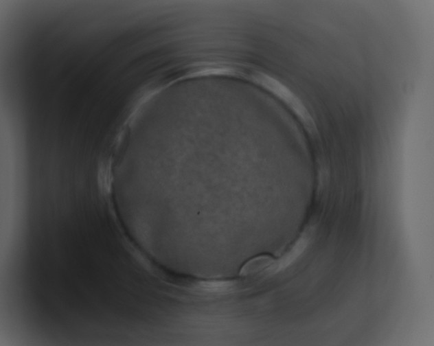 X0000101111377200807101459