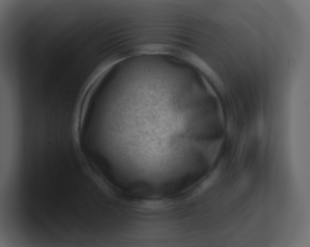 X0000101111378200807101459