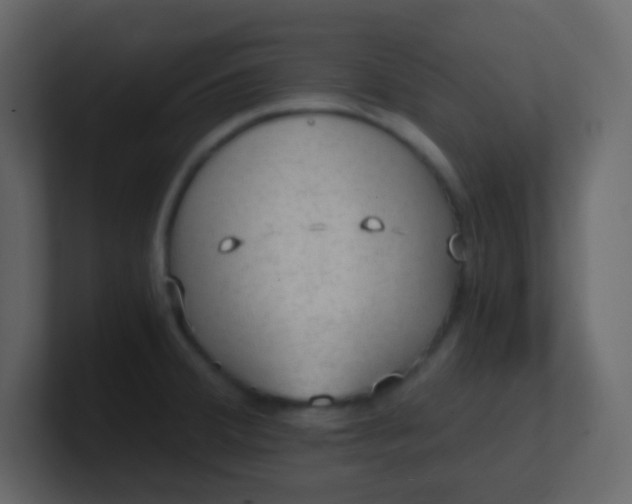 X0000101111380200807101459