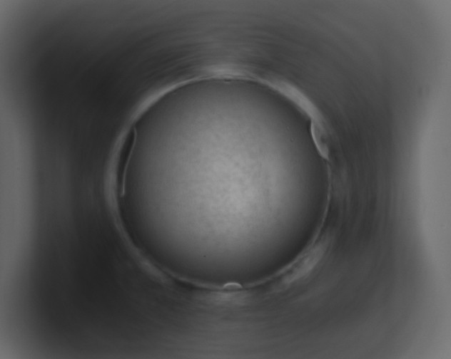 X0000101111381200807101459