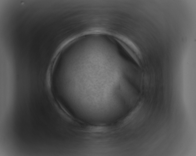 X0000101111382200807101459