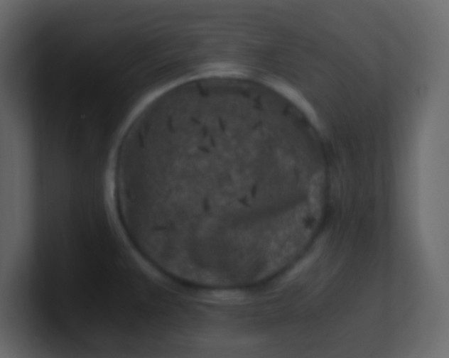 X0000101111383200807101459