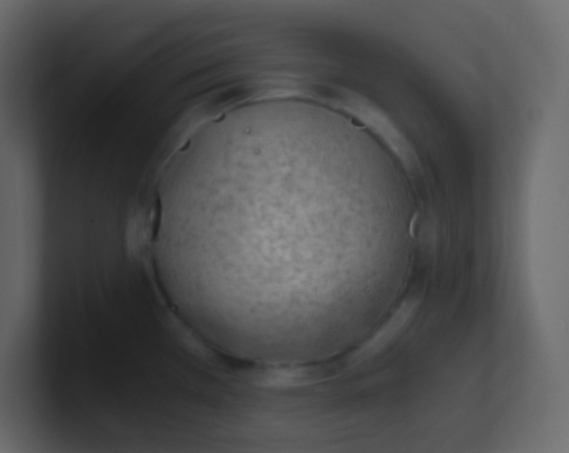 X0000101111385200807101459