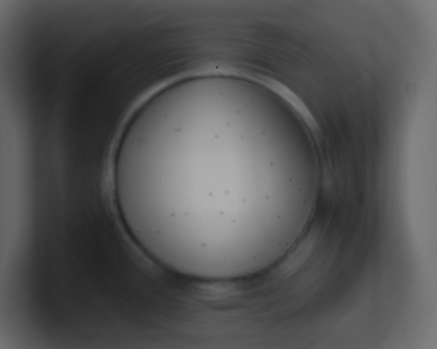 X0000101111388200807101459