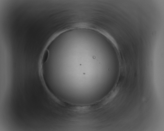 X0000101111389200807101459
