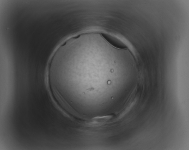 X0000101111390200807101459