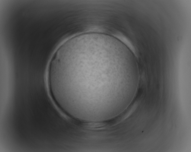 X0000101111391200807101459