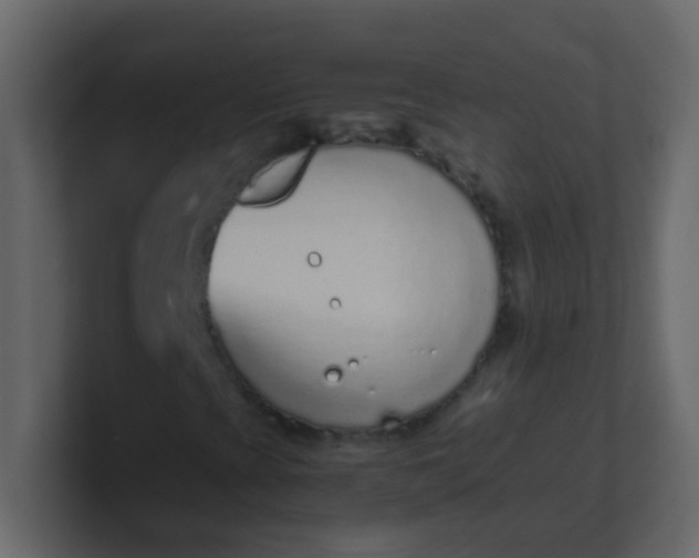 X0000101111393200807101459