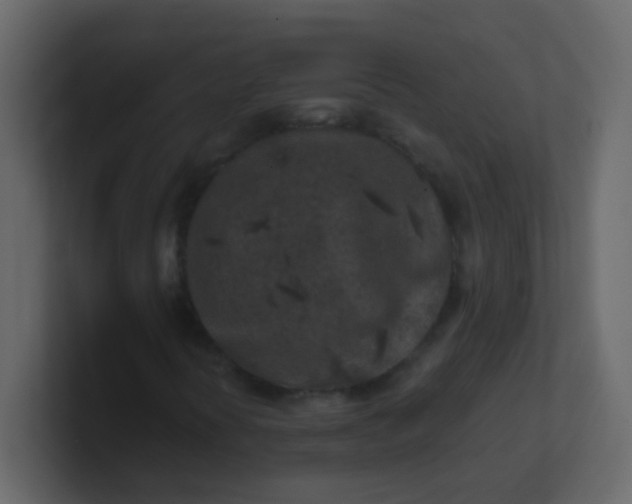 X0000101111394200807101459